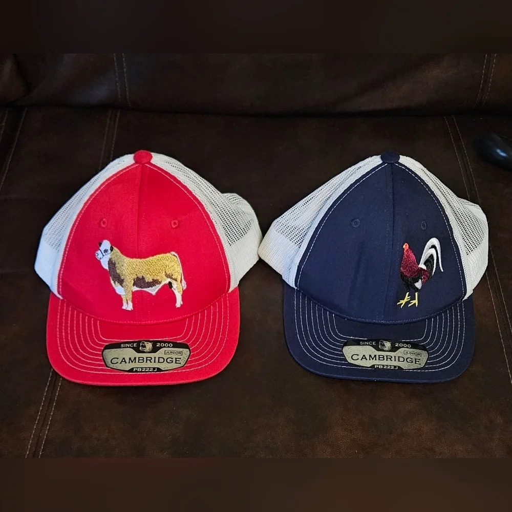 💙🩵Boys Mesh Hats Red And Blue, Bull And Rooster Embroidery🩵💙‎